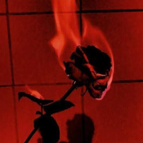 Meet your Posher, Day - Picture 1 of 1